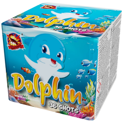 Dolphin