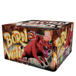 Born Wild 100rn 25mm 2ks/ctn